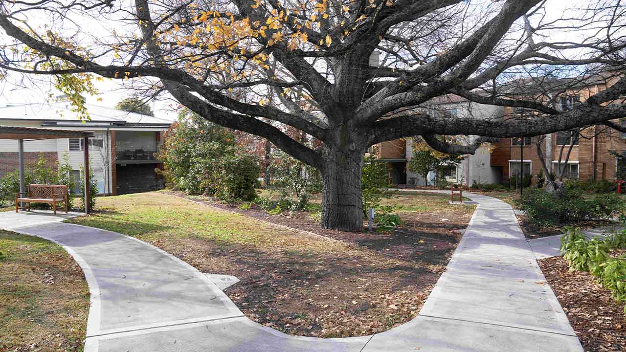 Accessible walking paths around our landscaped gardens 