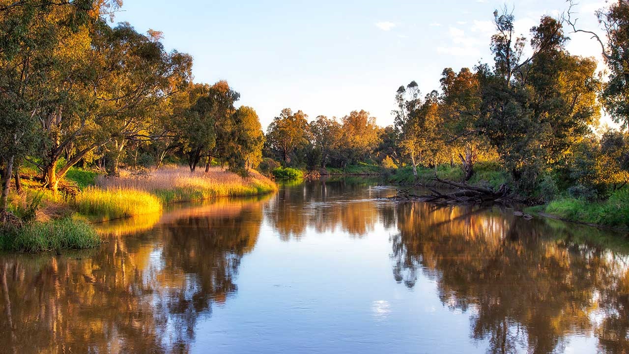 A river in Dubbo