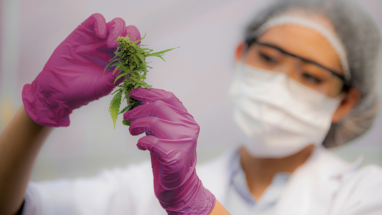 Uniting welcomes changes to NSW’s unfair drug driving laws – now for further positive drug law reform