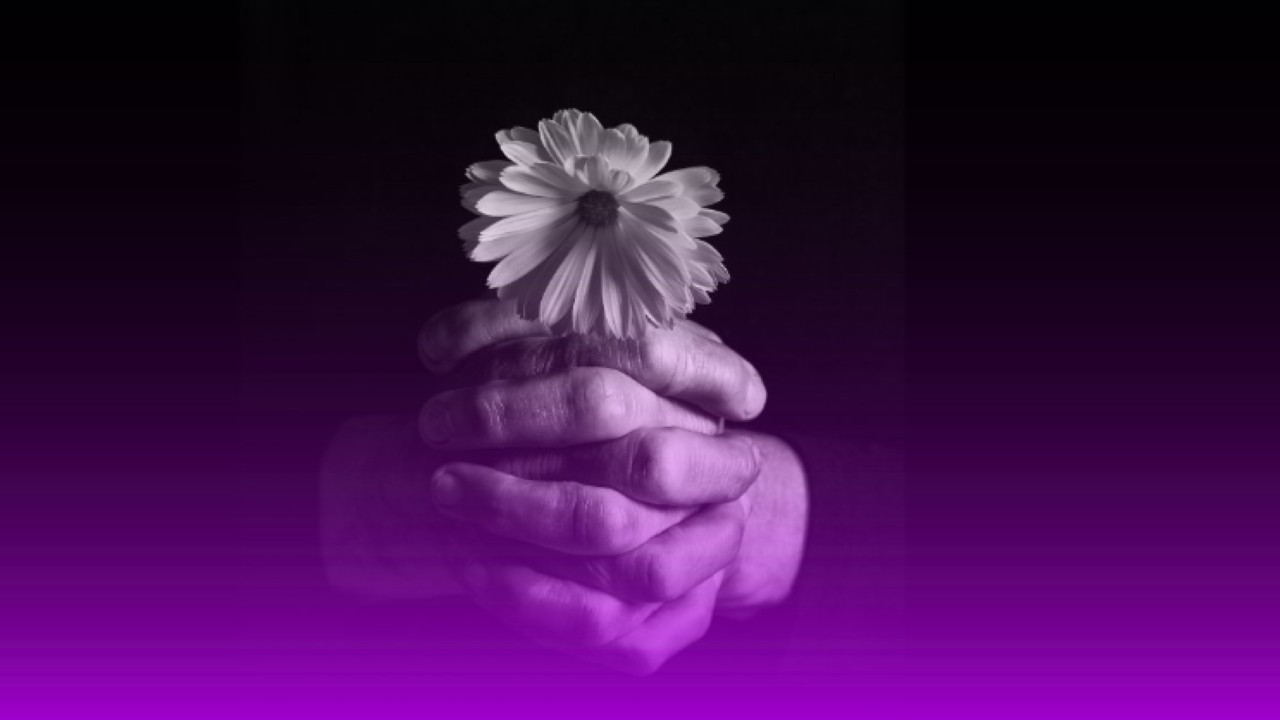 Seven Australians die from overdose everyday – these deaths can be prevented