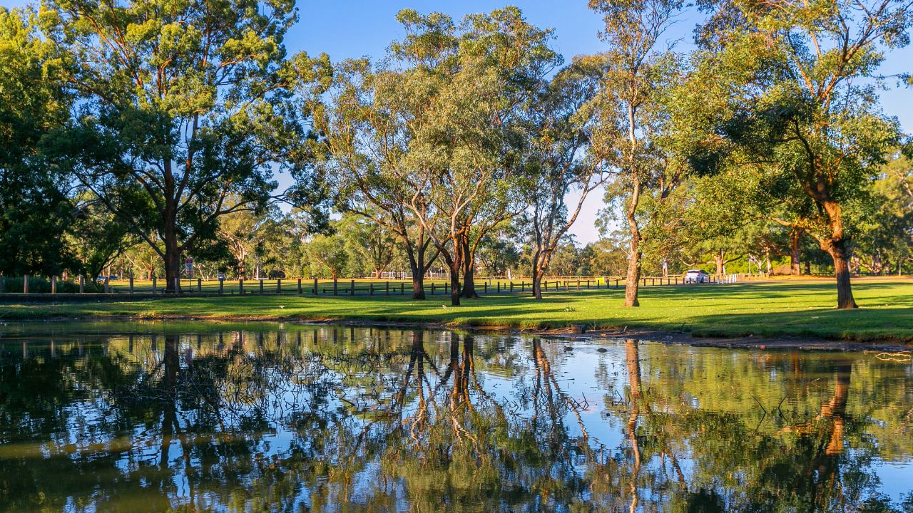 landing-page-1280x720 - South-and-Western-Sydney