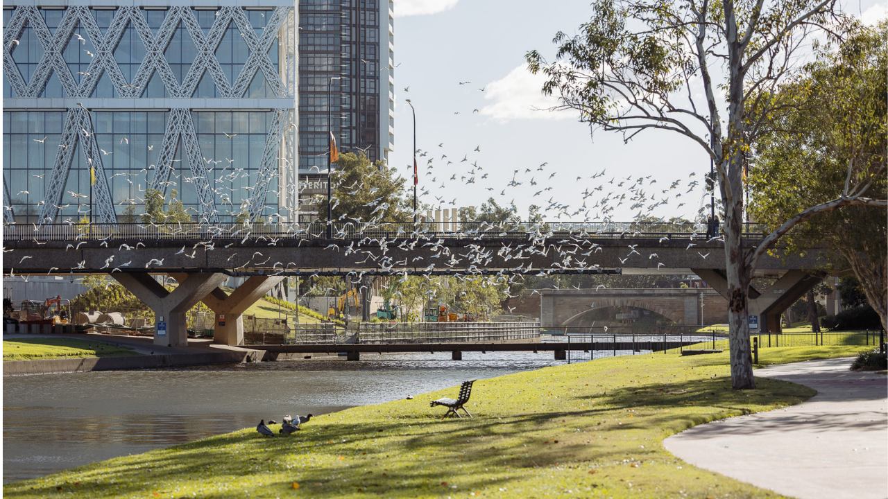 Paramatta river