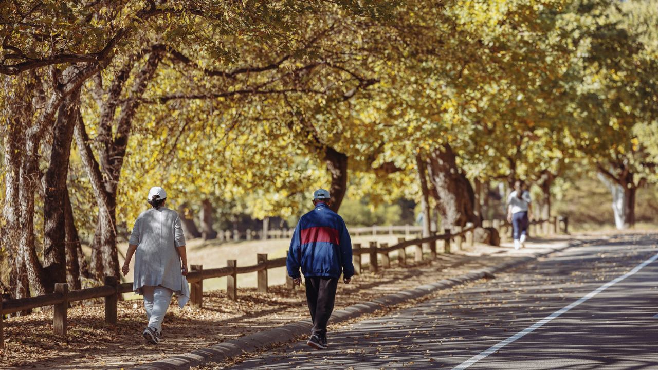 Walking tracks in Parramatta Park